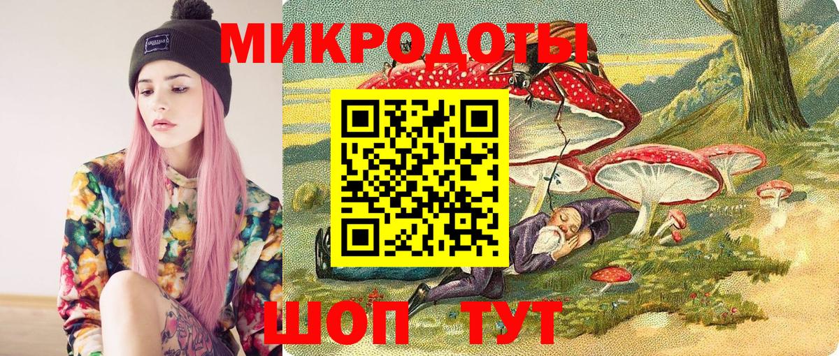 Галлюциногенные грибы Psilocybe Челябинск