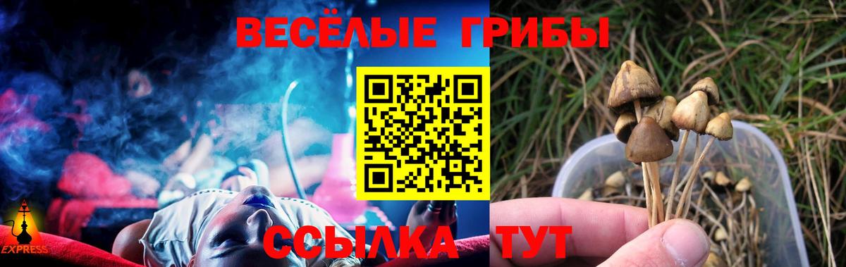 Галлюциногенные грибы Magic Shrooms  Вход с VPN  Псилоцибиновые грибы GOLDEN TEACHER  Челябинск 